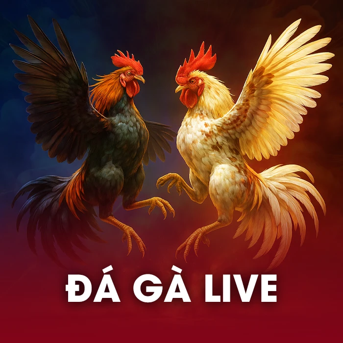 Đá Gà Live